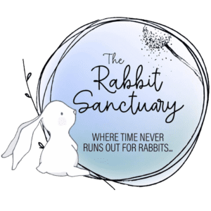 Read more about the article The Rabbit Sanctuary