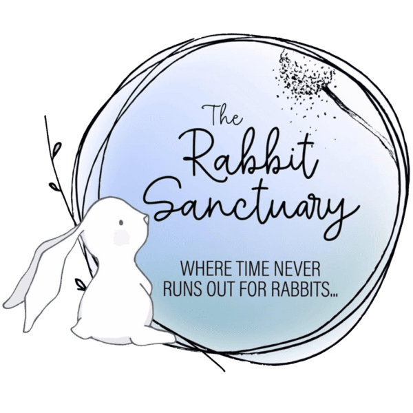 The Rabbit Sanctuary